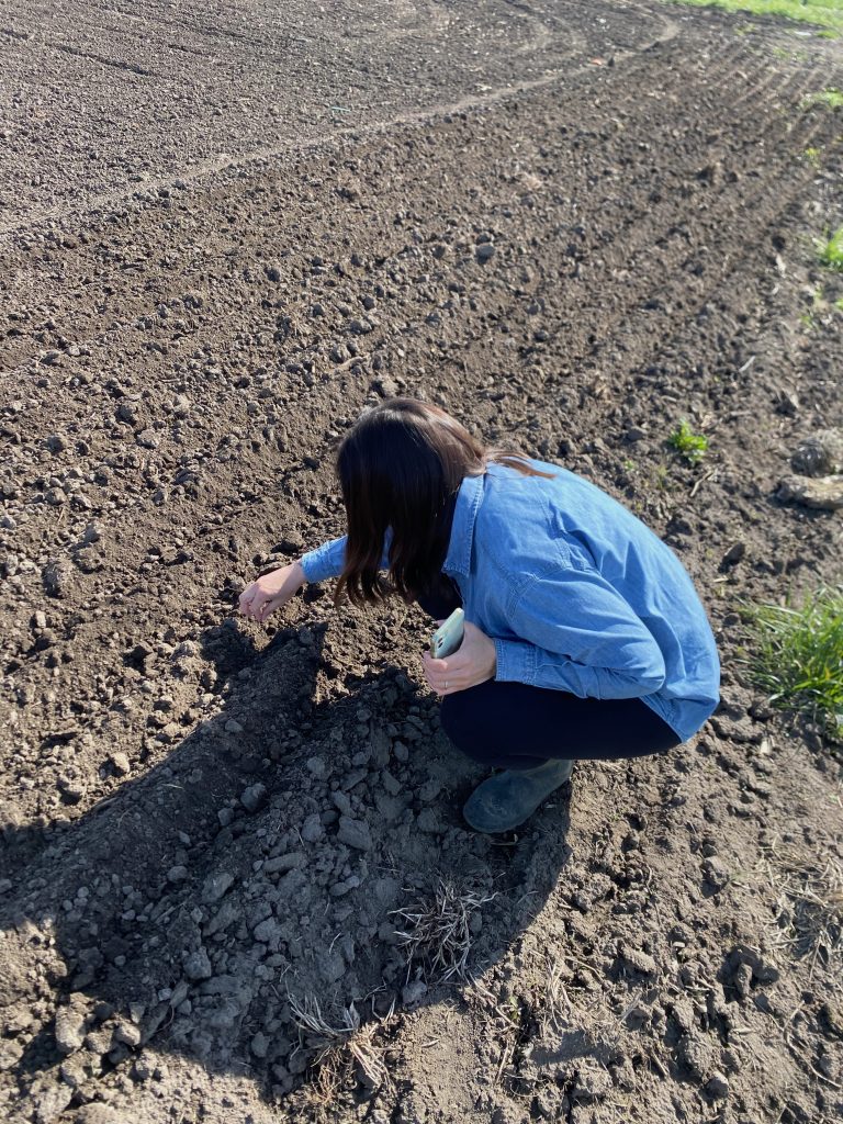 Sarah Stephens inspects field